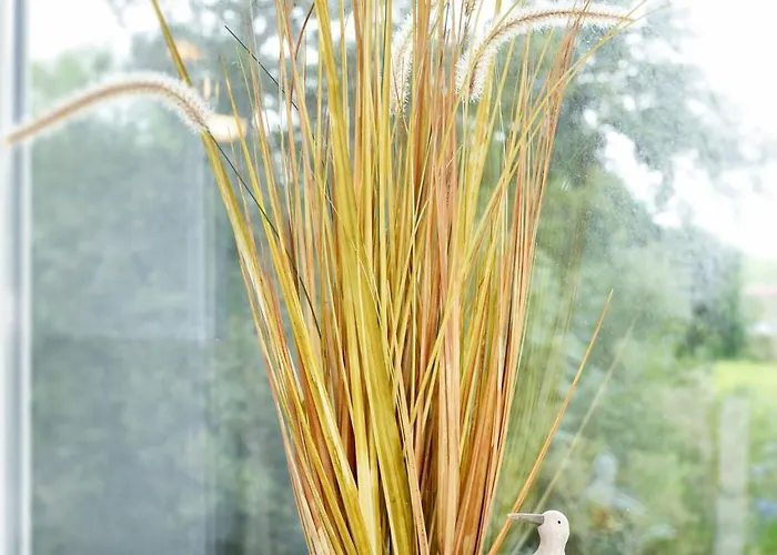 公寓 Gute N8 - Residenz An Der Nordseetherme 贝塞尔